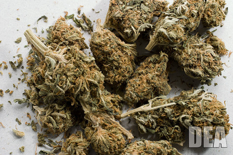 Gov. Cuomo to allow New York hospitals to dispense medicinal marijuana
