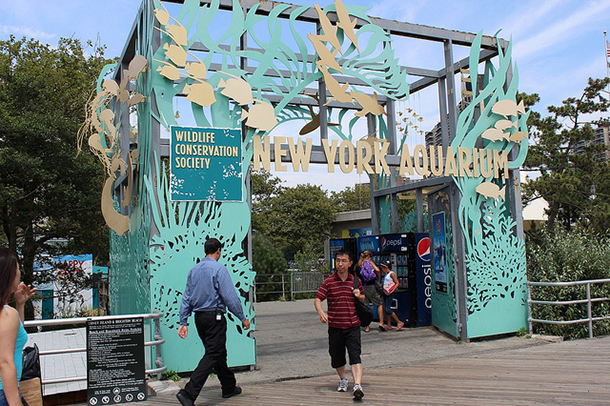 New York Aquarium to remain closed for rest of year