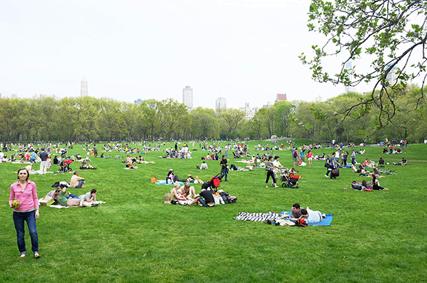 Report applauds city’s park spaces