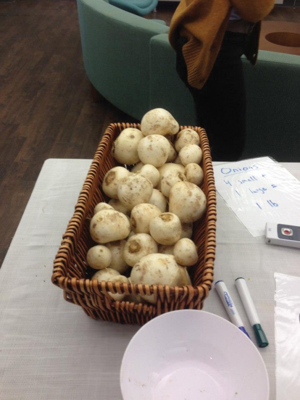 Students launch community agriculture efforts at NYU