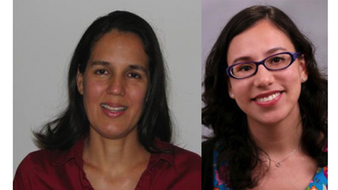 Study relates violence to school performance