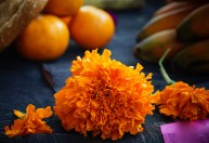 Edible flowers help dishes blossom