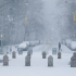 Winter storm Juno falls on Washington Square Park.