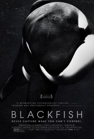 ‘Blackfish’ writer talks animals, tech