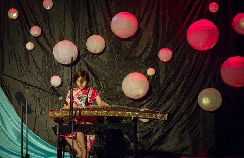 Chinese Mei Society throws annual gala