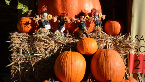 Five fall foods that are better than a PSL