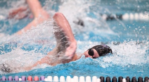 Women Dominate, Men Lose Close Call in Swimming