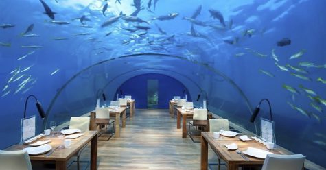 Around the World in Nine Eateries