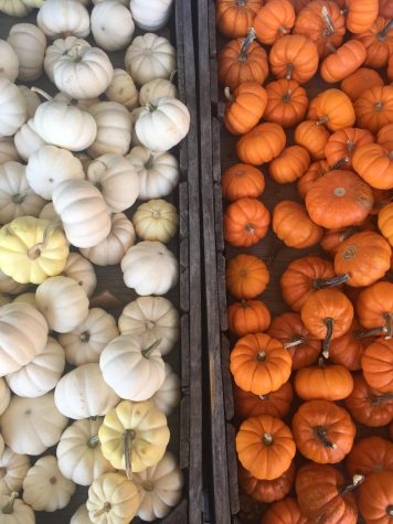 Staff Recs: Best Seasonal Fall Dishes