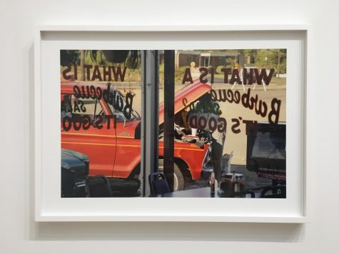 ‘Democratic Forest’ Asks What Story We Want