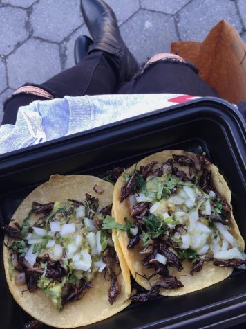 Expanding Your Palate with Grasshopper Tacos