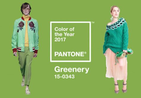 Greenery, 2017’s Color of the Year, Ushers in a Hopeful Spring