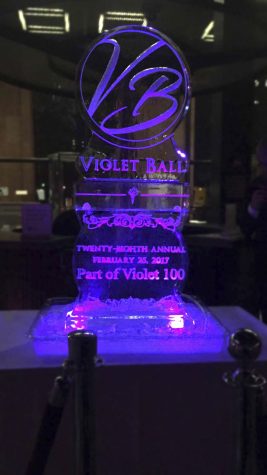 Dancing Bobcats, Ice Sculptures and Champagne: Violet Ball 2017
