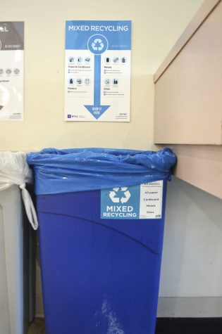 Does NYU Really Recycle?