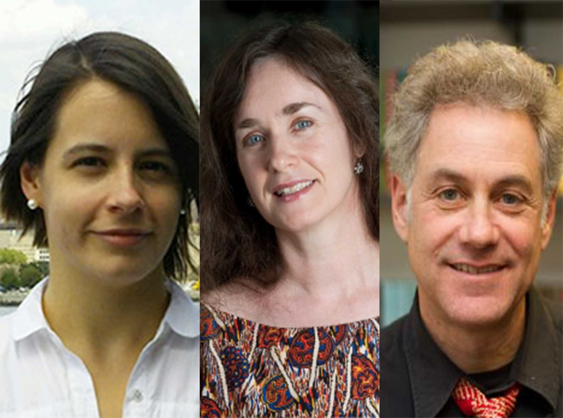 Stefanie Goyette, of the Liberal Studies program, Moya Luckett, of Gallatin, and Michael Peachin, the director of undergraduate studies for classics, are just a few of the numerous professors at NYU to have released books.
