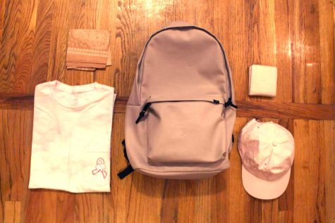 Millenial Pink: Not Just a Phase