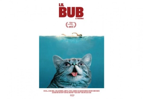 Tribeca film documents Internet cat video sensation