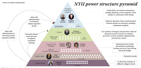 Push for transparency: examining NYU decision-making process