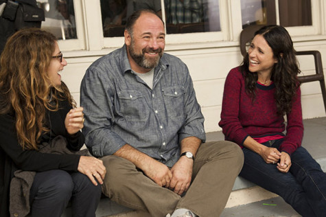 Gandolfini, Louis-Dreyfus charm in ‘Enough Said’
