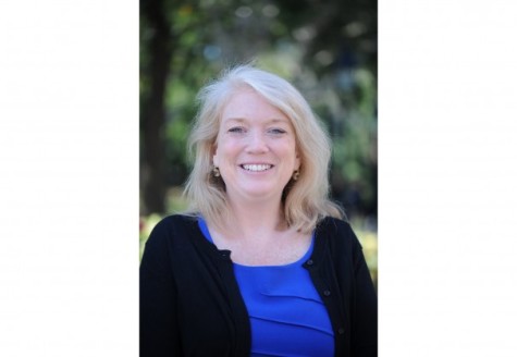 McSilver Institute receives grant to aid mental health