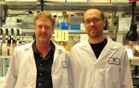 College of Dentistry professor, team research HIV-1 cell reproduction