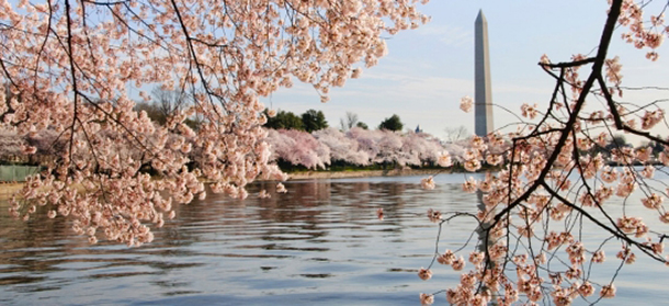NYU welcomes first class to Washington D.C. campus