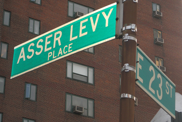 Community Board 6 approves Asser Levy park