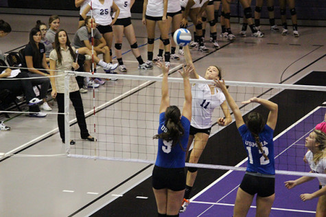 Violets prepare for Division III championship