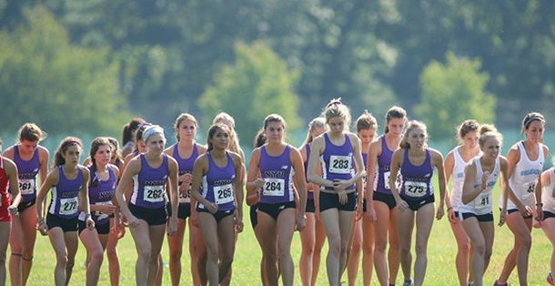 NYU cross country comes in twenty second place at nationals