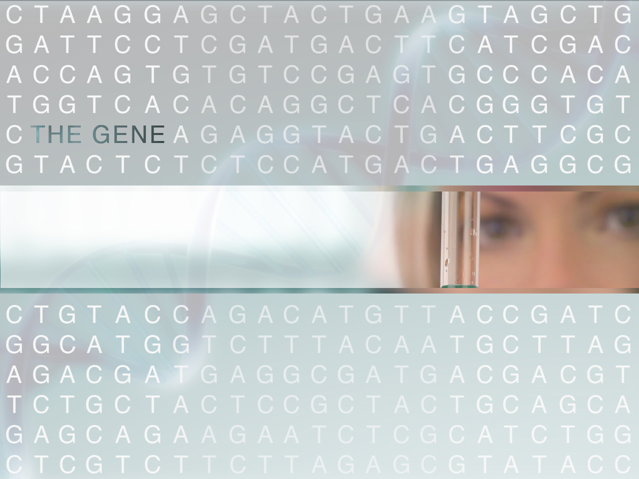 Tisch senior explores science of homosexuality through film