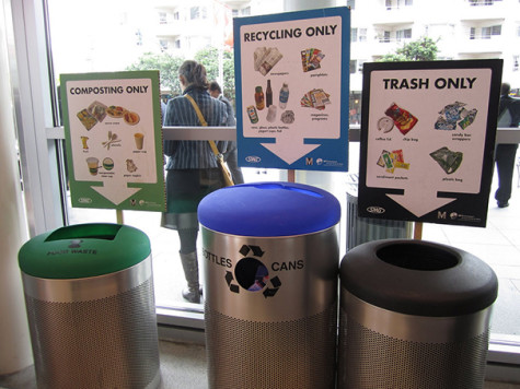 Green programs push NYU toward eco-friendly future