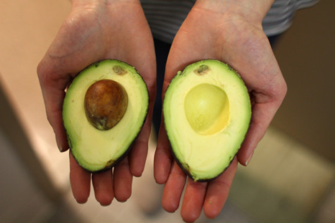 Climate change, beetles present problem for avocado products