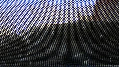 University removes hawk cam outside Bobst