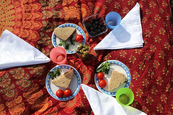 4-22 - Picnic