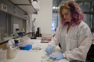 Professor’s study finds microbes on dollars