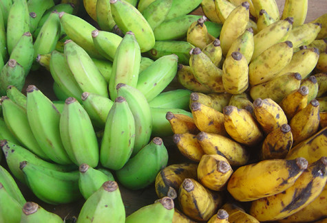 Top 5 superfruits to keep energy high