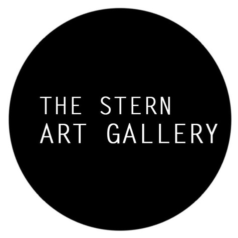 Show highlights other side of Stern students