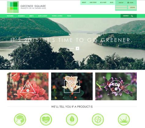 Student creates eco-friendly online store