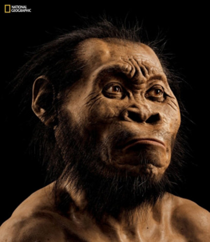NYU anthropologist discovers new human ancestor
