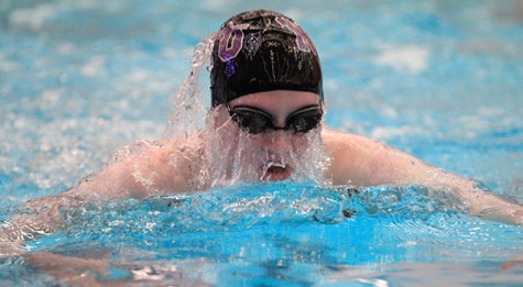 Swimming and diving teams top TCNJ