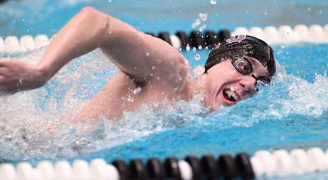 Violet swimming still perfect after Fall Invitational