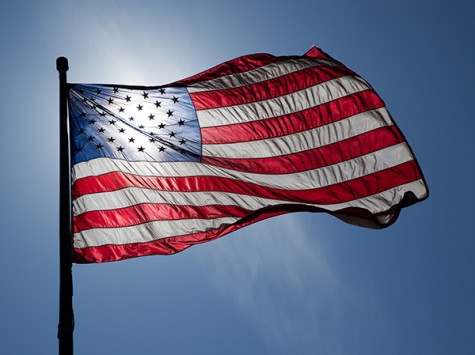 Group hosts week in honor of veterans