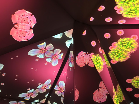 Museum of Feelings makes you feel things