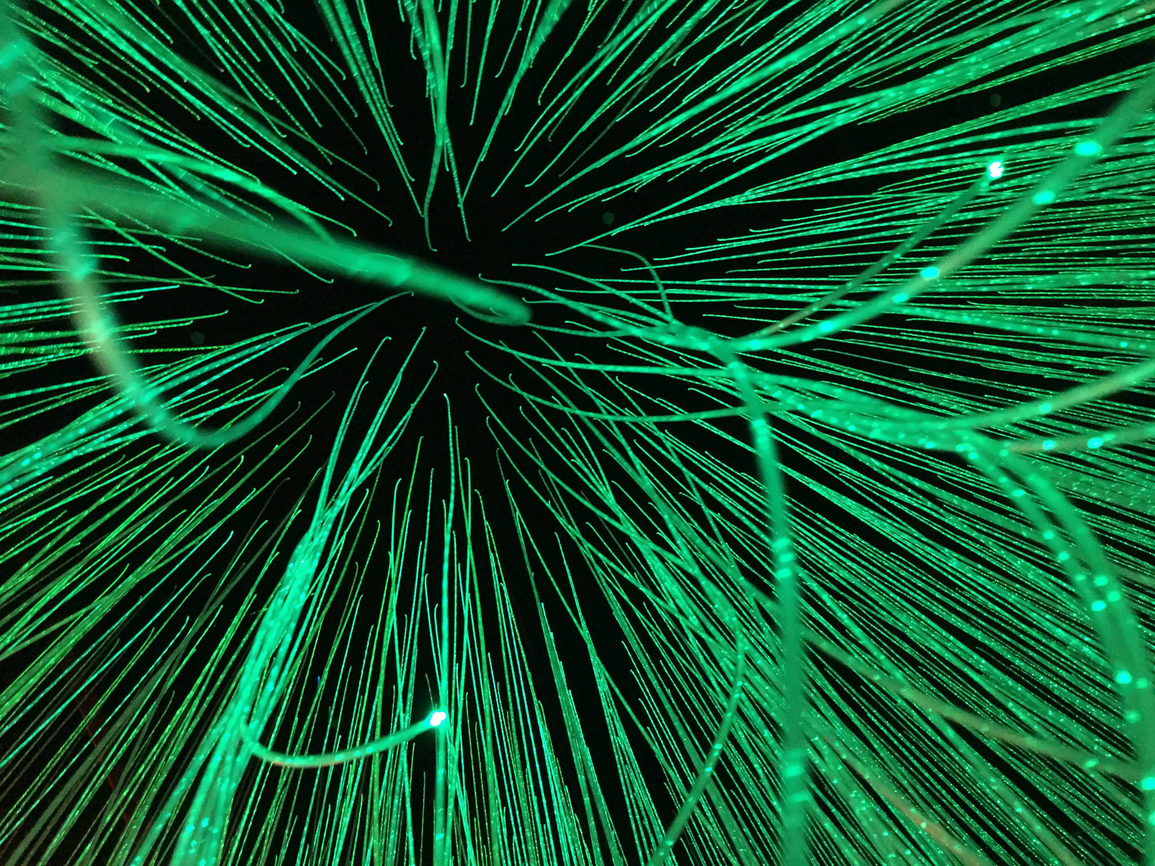The Museum of Feelings in Battery Park and is open until Dec. 15 and is a great way to spend an afternoon this weekend.