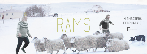 Battle of Brothers and Sheep in Lyrical Film ‘Rams’