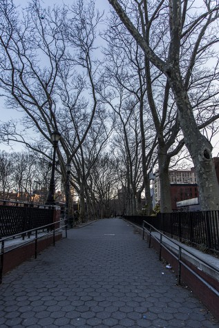 New York’s Breath of Fresh Air