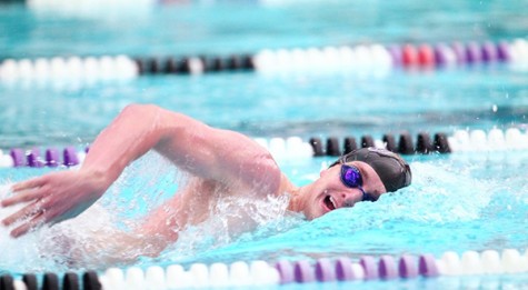 Swimming Hosts NYU Invitational