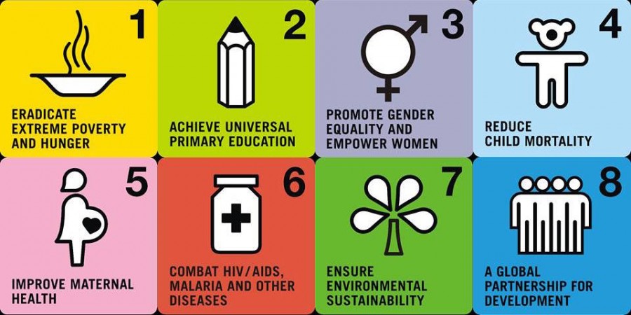 the united nations millennium development goals and its results in puerto rico and the united states the united nations millennium development goals and its results in puerto rico and the united states