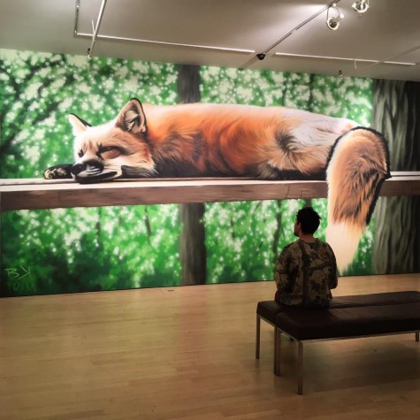Street Artist Creates Show to Advocate for Wildlife