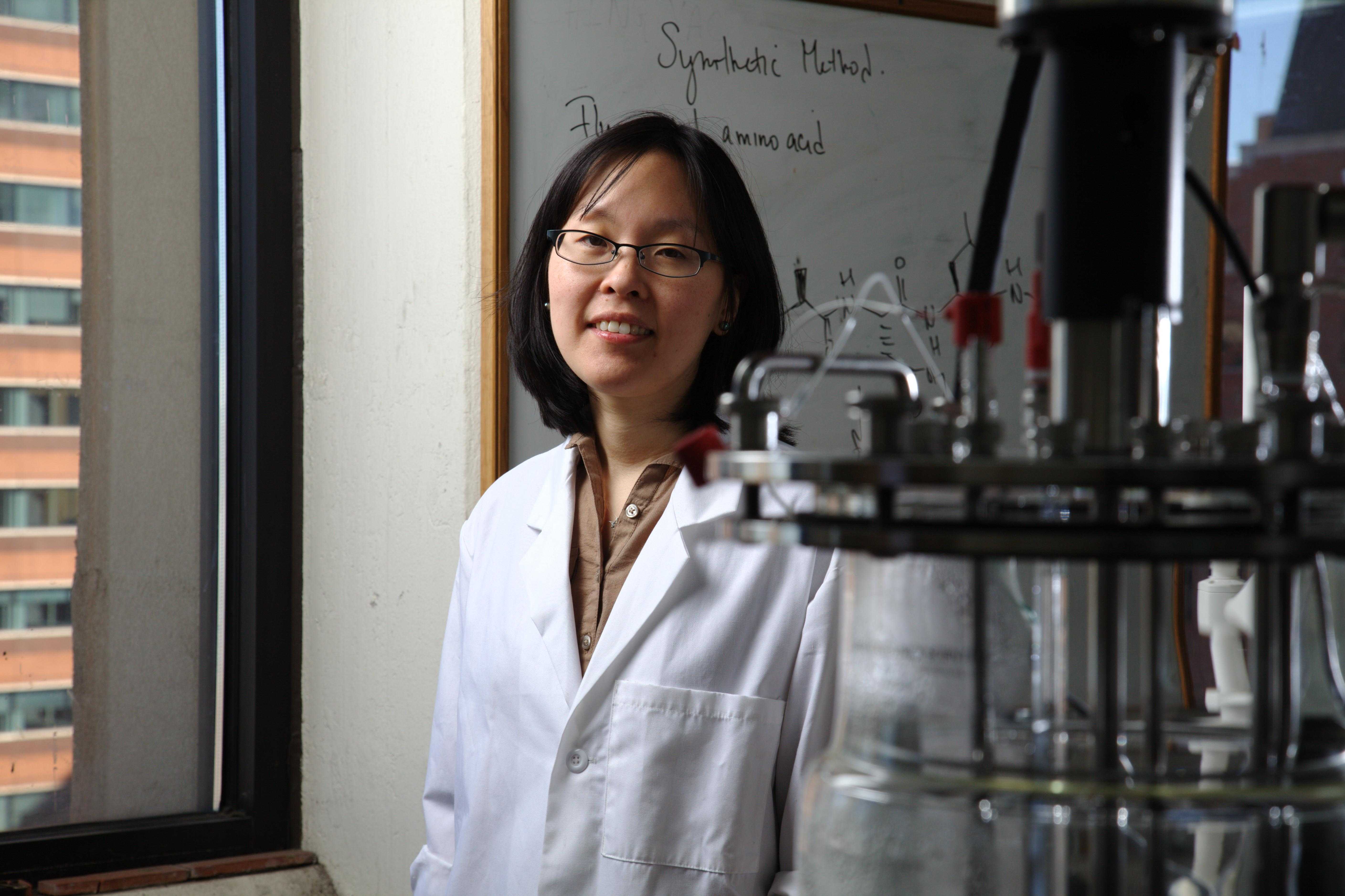 NYU Tandon associate professor Jin Kim Montclare has been named a 2016 Rising Star of chemical engineering.
